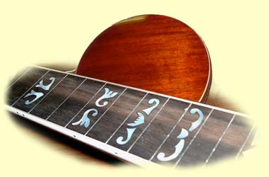 banjo sunset
